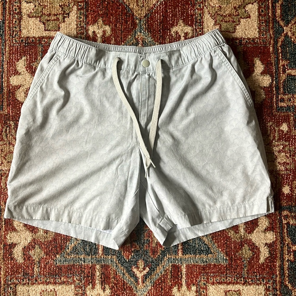 Chubbies Everywhere linered short